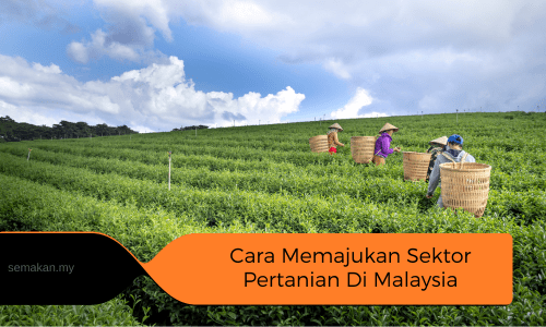 contoh-karangan-cara-memajukan-sektor-pertanian-di-Malaysia